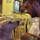 Ο πιo στεναχωρημένος σκύλος του κόσμου ζητάει συγγνώμη από το αφεντικό του