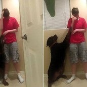 O σκύλος που παρηγορεί και προστατεύει μια γυναίκα με σύνδρομο Άσπεργκερ που βιώνει κρίση