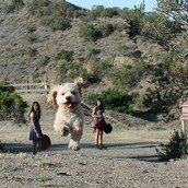 Σκύλοι γίγαντες...κατά λάθος