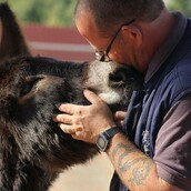 Γελάει ο Γάιδαρος; Nαι! Εδώ γελάει!
