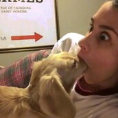 15 ζώα που μετανιώνουν την ώρα και τη στιγμή αυτών των αποφάσεων 