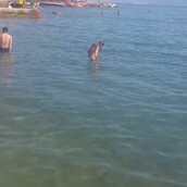 Σκέτη απελπισία! Δύο άντρες "παίζουν" φρίσμπι στην παραλία