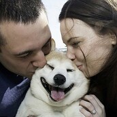 Μια σκυλίτσα που χαμογελάει συνέχεια γίνεται viral