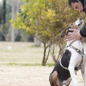 Η Λορελάι βρέθηκε στα Τρίκαλα. Έτρωγε λάσπες για να επιβιώσει