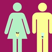 Το παιδικό τραγούδι για τα γεννητικά όργανα που έχει τρελάνει τους Σουηδούς