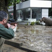Tα ζώα το έσκασαν