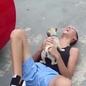 Oι πρώτες αντιδράσεις των ανθρώπων που ξαφνικά καταλαβαίνουν πως απέκτησαν ένα κουτάβι