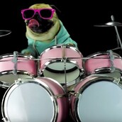 Ο καταπληκτικός σκύλος που «παίζει» Metallica ζει στην Ελλάδα 