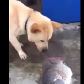 Μακάρι να ήταν και όλοι οι άνθρωποι έτσι