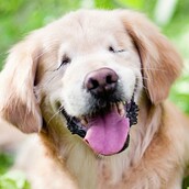 Γεννήθηκε χωρίς μάτια, μοιάζει σαν να είναι μονίμως γελαστός και θα σας κλέψει την καρδιά