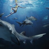 Xμ... Μάλλον οι Ρώσσοι το παράκαναν με αυτήν τη διαφήμιση για ταμπόν (βίντεο)