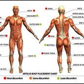 Eτοιμάζεσαι για τατουάζ; Να πού δεν πρέπει να κάνεις γιατί πονάει