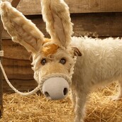 Κάθε Χριστούγεννα ένας φωτογράφος μεταμορφώνει τον σκύλο του σε διαφορετικό ζώο