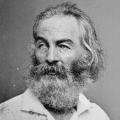 Μικρή εικονογραφημένη ιστορία του χιψτερισμού