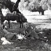 Αριστοκρατικά φτωχοί, Ελευθεροτυπία, 1991
