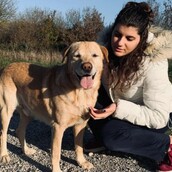 10 νέες φωτογραφίες απ' τα τέλεια ζώα των αναγνωστών μας #566