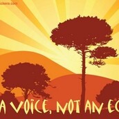 Be a voice, not an echo