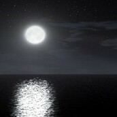 Τι γεύση έχει η νύχτα;