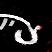 Η Εποχή που κόβανε Περιστεριών τις Γλώσσες