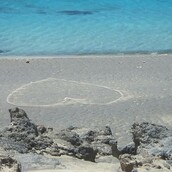 Tο δάσος με την καρδια στην άμμο