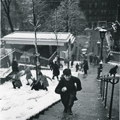 Η χριστουγεννιάτικη περιπέτεια ενός γκρι, μικρού στολιδιού…