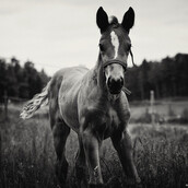 Όλα όσα δεν τόλμησα να πω...
