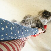 Ο Lemmy σολάρει για την Μπιάνκα. Ροχαλίζοντας