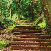 Θ' αργήσουν οι νεράιδες