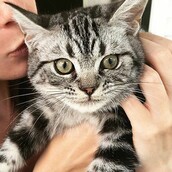 #LIFOPETS (119): Αυτά είναι τα κατοικίδιά μας