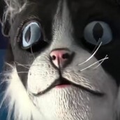 Αυτό είναι το πιο τρομακτικό πράγμα που μπορείς να κάνεις σε γάτες