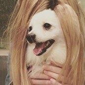 #LIFOPETS(102): Αυτά είναι τα κατοικίδιά μας