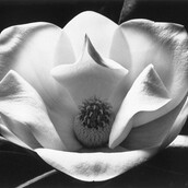 Τι είναι αυτό που το λένε Αγάπη