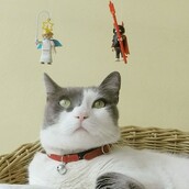 #LIFOPETS(109): Αυτά είναι τα κατοικίδιά μας