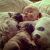 #LIFOPETS (88): Αυτά είναι τα κατοικίδιά μας