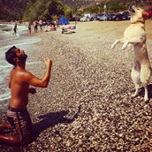 #LIFOPETS (61): Αυτά είναι τα κατοικίδιά μας