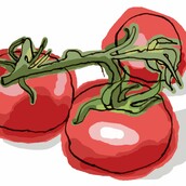 Mη ζουλάτε την ελπίδα***