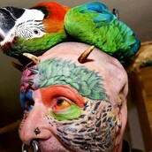 Άνδρας έκοψε και τα δύο αυτιά του για να μοιάσει στον παπαγάλο του