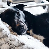 30 νέες φωτογραφίες απ' τα τέλεια ζώα των αναγνωστών μας