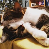 30 νέες φωτογραφίες απ' τα τέλεια ζώα των αναγνωστών μας