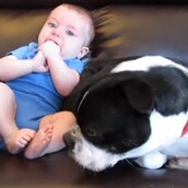 Ο μπέμπης τα έκανε και ο σκύλος αντιδρά με ξεκαρδιστικό τρόπο