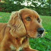 Τον Ιούνιο πάμε για δωρεάν οδοντικό έλεγχο