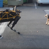 Οι σκύλοι θα πολεμήσουν τα ρομπότ στο πλευρό της ανθρωπότητας