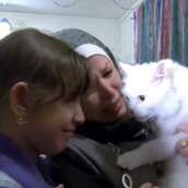 Η απίστευτη περιπέτεια του Δία, του γάτου που έφτασε στη Λέσβο με πρόσφυγες, χάθηκε, αλλά ξαναβρέθηκε στην αγκαλιά τους