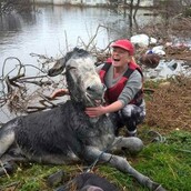 Aυτός ο γάιδαρος μοιάζει να γελάει γιατί κάποιοι μόλις τον έσωσαν από πνγμό