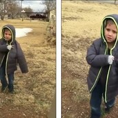 Ένα μικρό αγόρι ξαναβρίσκει το χαμένο του σκυλάκι και ξεσπάει σε δάκρυα χαράς