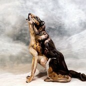 Κι όμως, στην πραγματικότητα βλέπετε τρεις γυμνές γυναίκες και όχι έναν λύκο