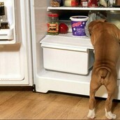 21 πεινασμένοι που θέλουν ΟΛΟ το φαϊ σου