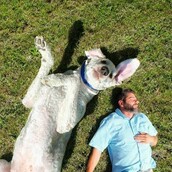 Να τι συμβαίνει όταν κάποιος αγαπά πολύ το σκύλο του