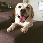 30 νέες φωτογραφίες απ' τα τέλεια ζώα των αναγνωστών μας