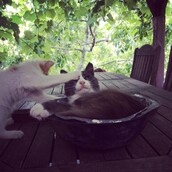 30 νέες φωτογραφίες απ' τα τέλεια ζώα των αναγνωστών μας